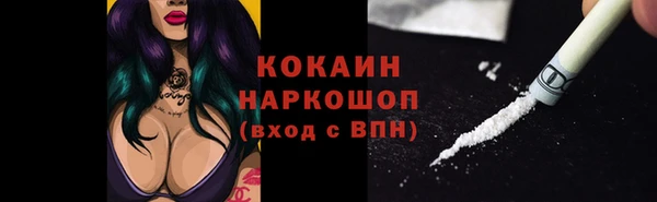 бошки Алексин