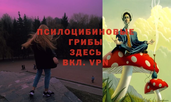 бошки Алексин