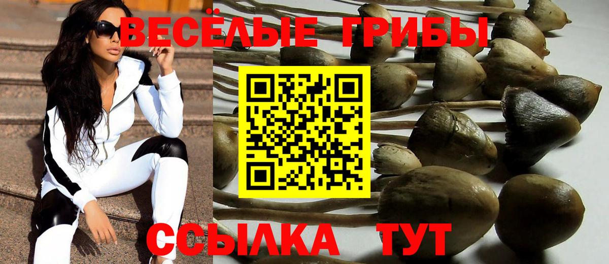 Галлюциногенные грибы ЛСД  Вход с VPN  Амурск  Галлюциногенные грибы GOLDEN TEACHER 